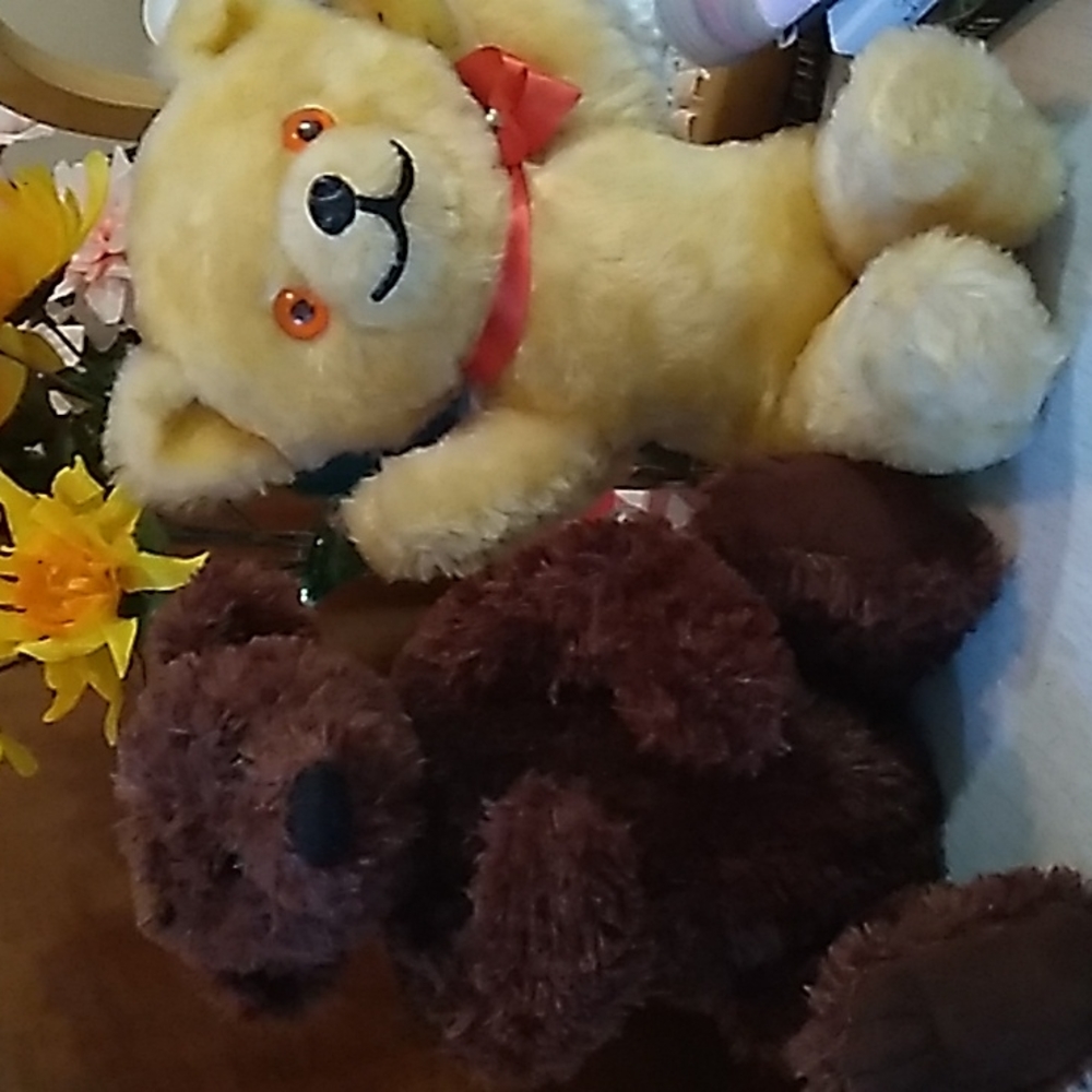 Boyd Bear & Vintage Bear